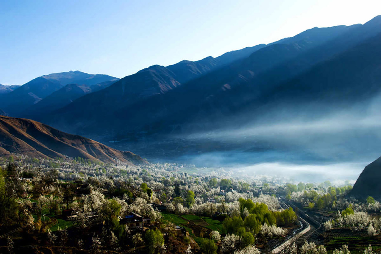 坪山特色坪山周末团建方案