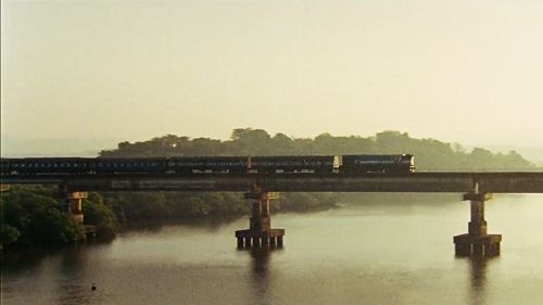 Cobra啤酒.Train篇