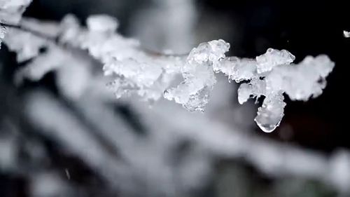 CCTV公益广告《回家-迟来的新衣篇》